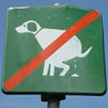 Poor at updating my travel blog photo