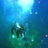 Diving HMAS Swan, Dunsborough photo