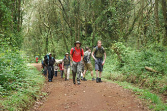 Climbing Kilimanjaro Day 1 photo