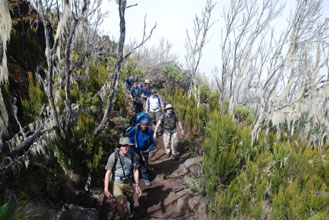 Climbing Kilimanjaro Day 2 photo