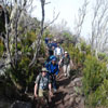 Climbing Kilimanjaro Day 2 photo